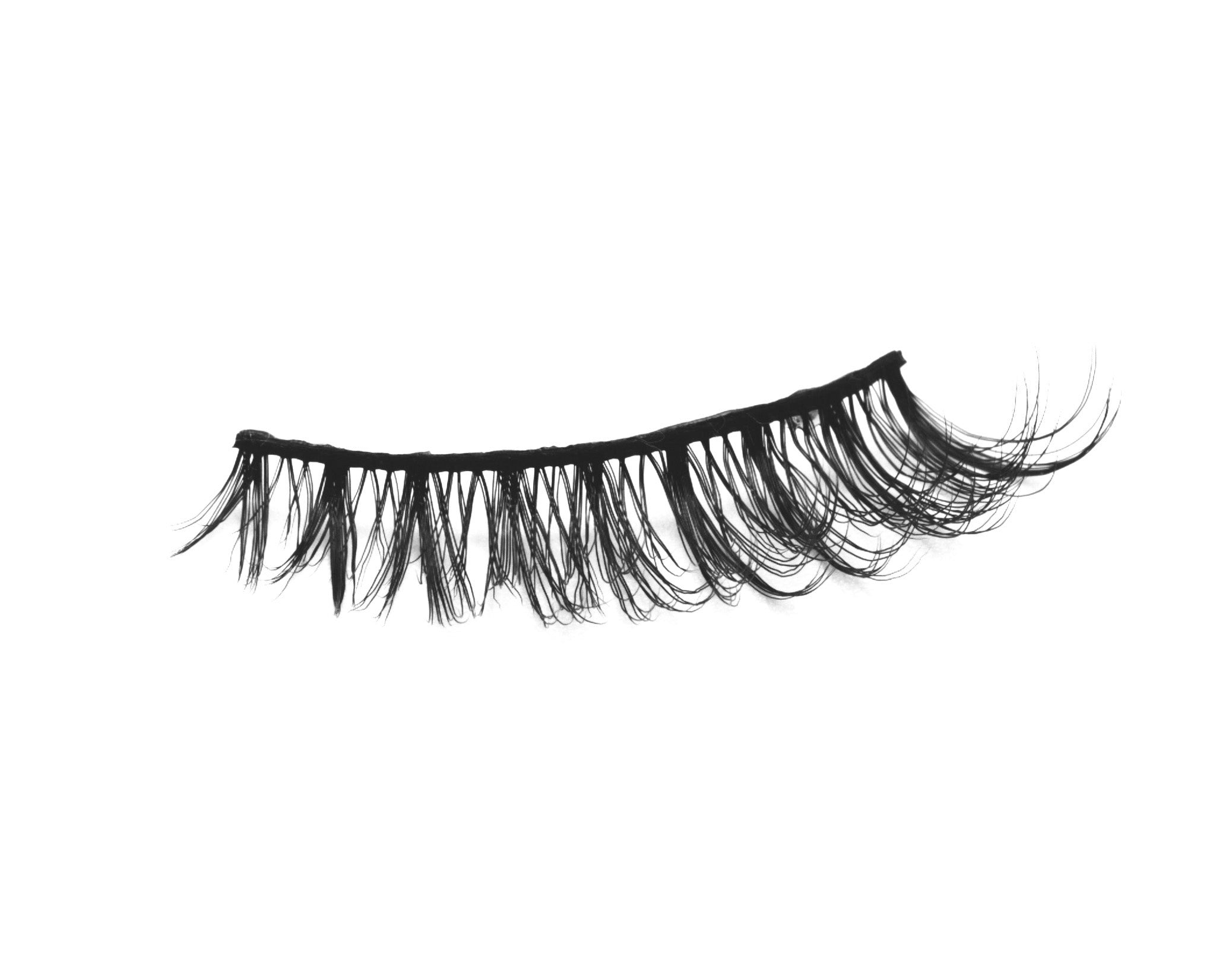 false eyelash on a white background
